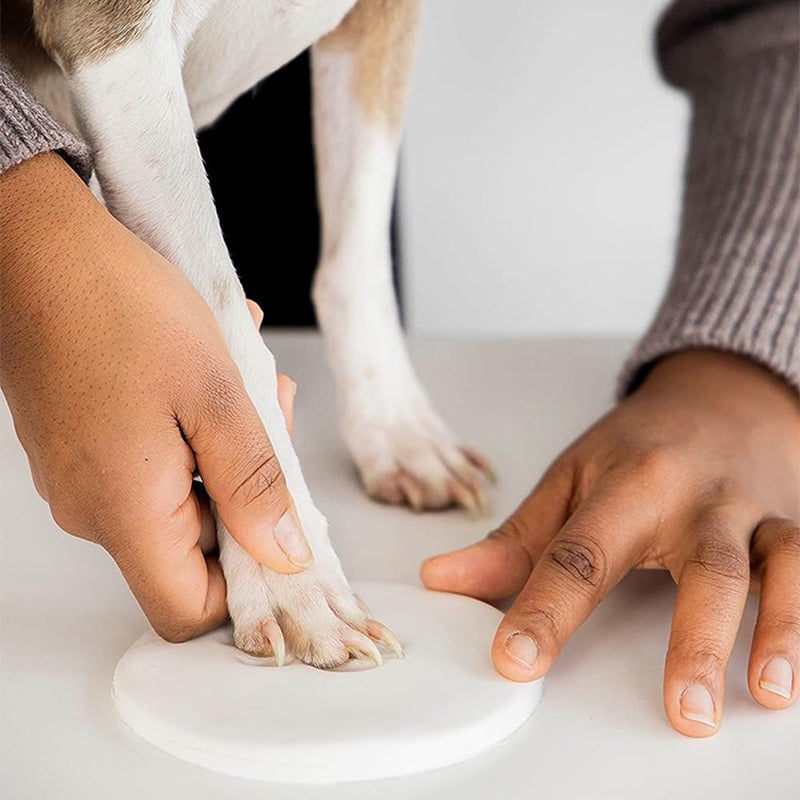 Clay Pet Paw Impression Molding Kit
