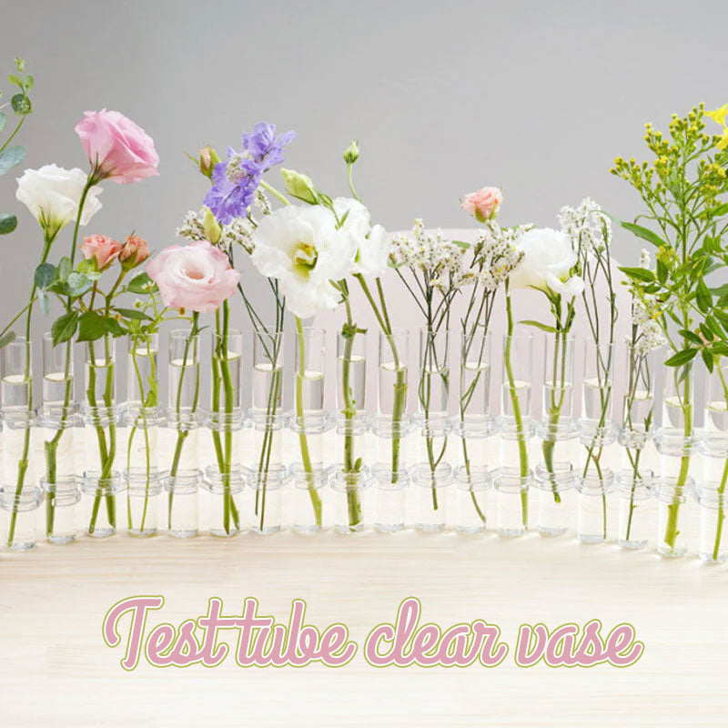 Ins Test Tube Transparent Glas Vas
