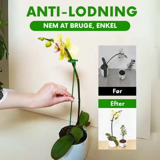 PlantGuard™ - 10 hållbara stödkonsoler för växter