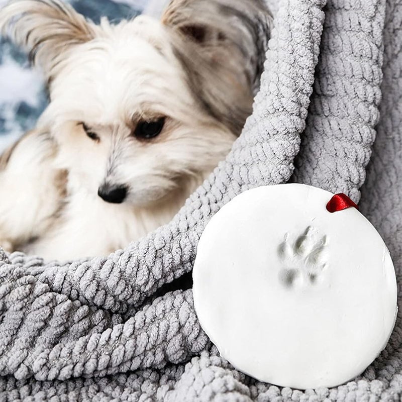 Clay Pet Paw Impression Molding Kit