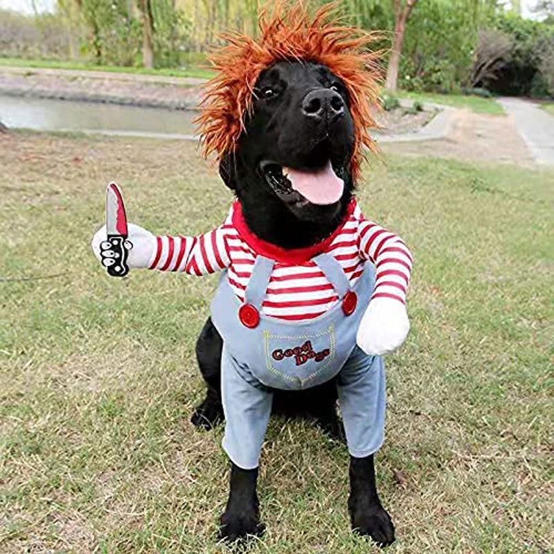 Halloween Husdjur Hund Cowboy Ryttare DrÀkt