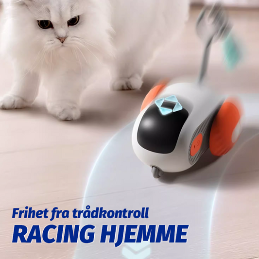 Elektrisk Sportsbil Kjæledyrleketøy