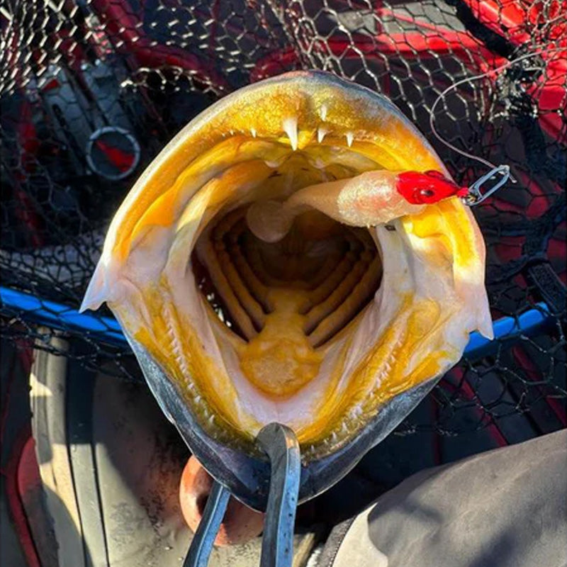 Topwater Co SnabbklÀmmor