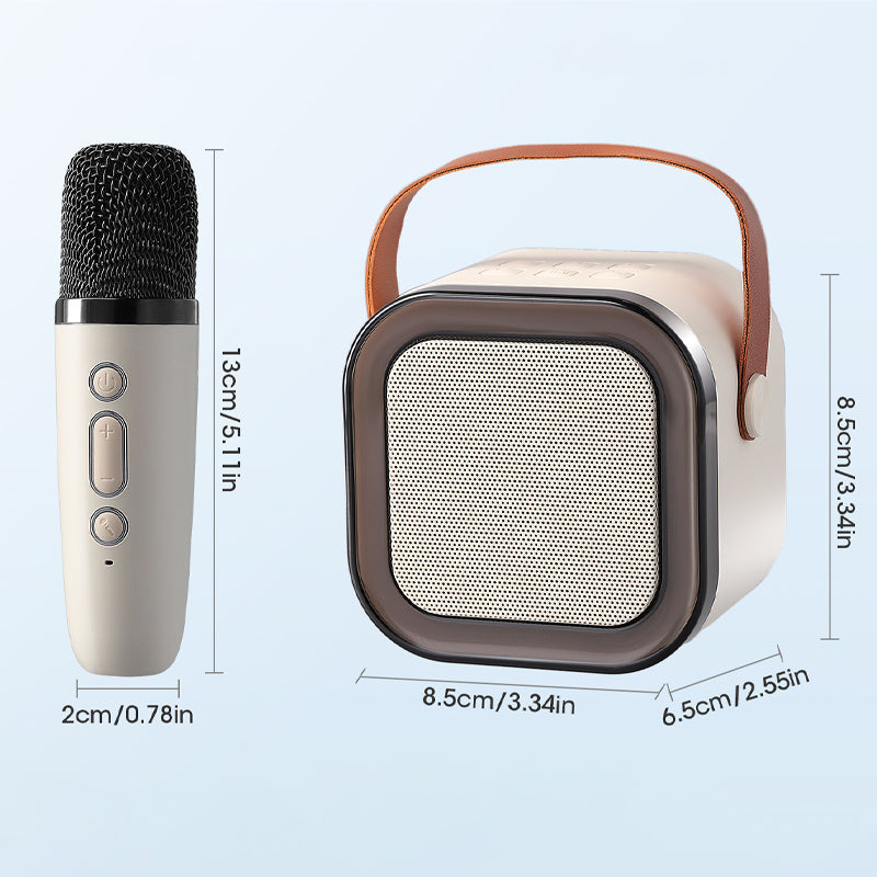 Mini Karaoke Machine med trådlösa mikrofoner
