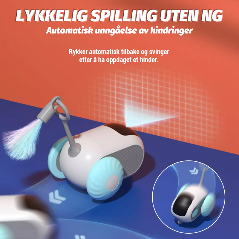 Elektrisk Sportsbil Kjæledyrleketøy