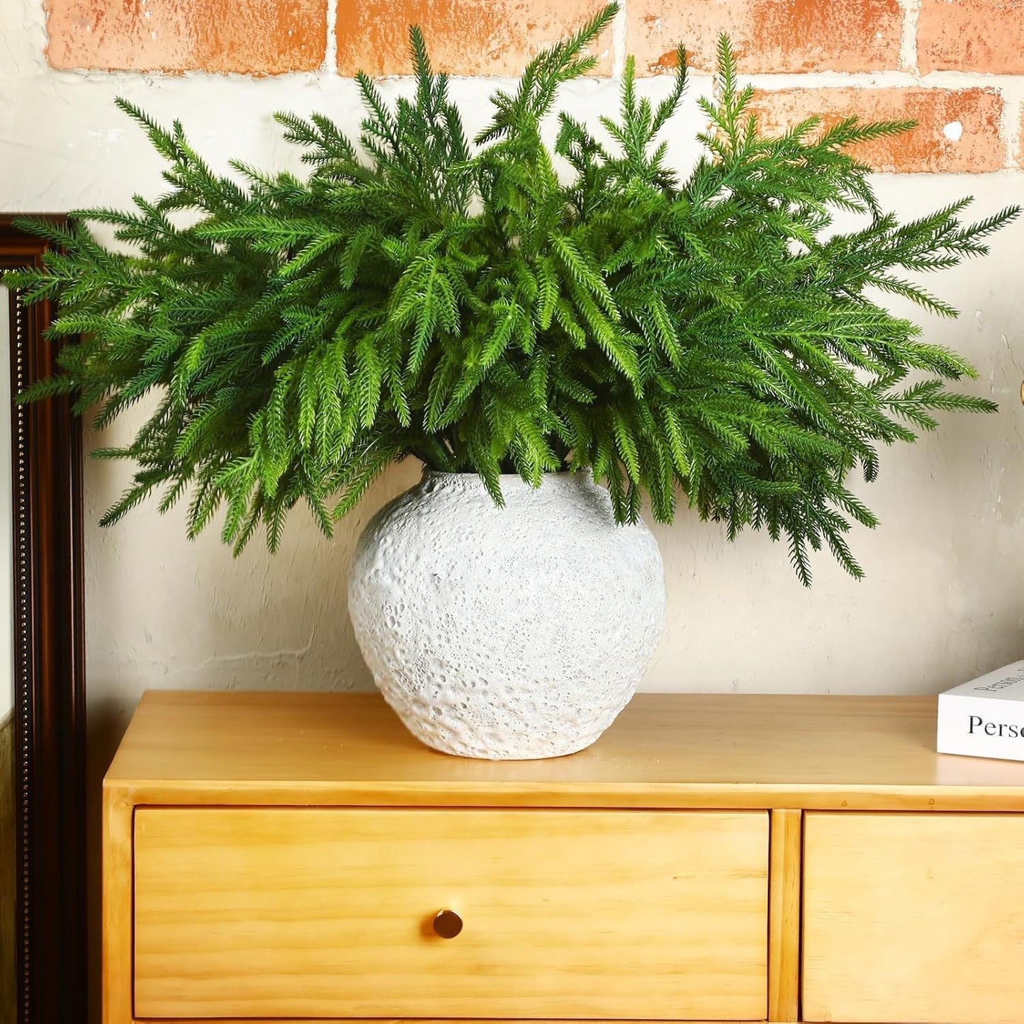 đBeautiful Christmas Special 49% đNorfolk Pine Branch