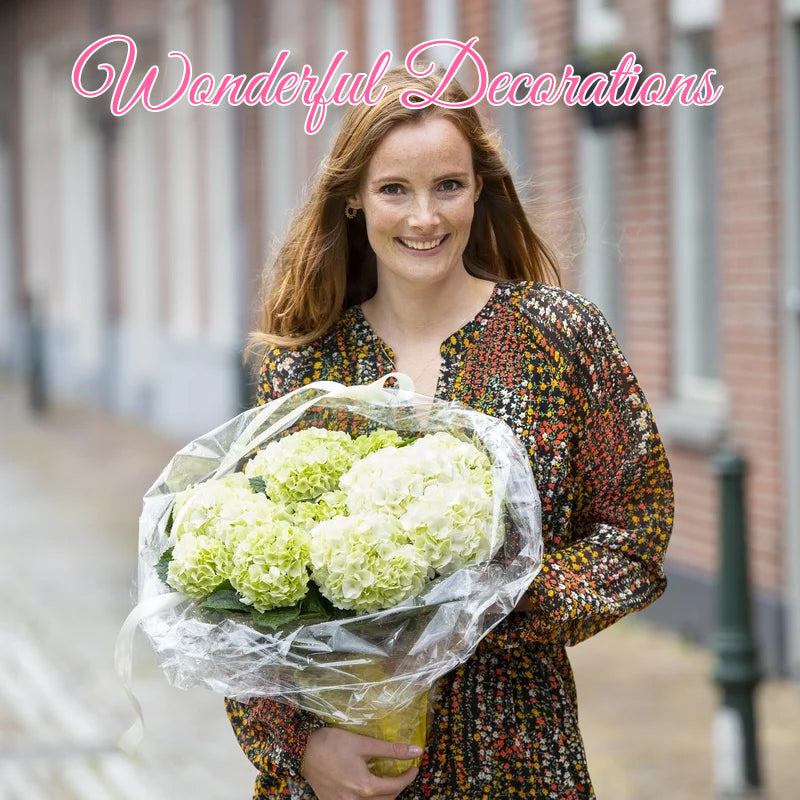 Everlasting Flower Hydrangea