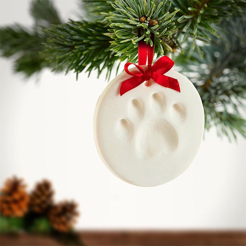Clay Pet Paw Impression Molding Kit
