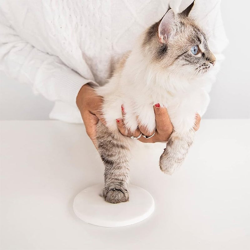 Clay Pet Paw Impression Molding Kit