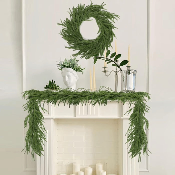 đBeautiful Christmas Special 49% đNorfolk Pine Branch