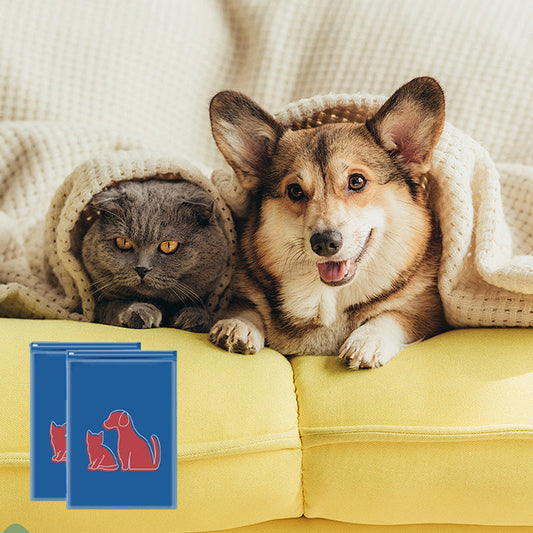 Hund och katt snabbtorkande blöjor/Dog and cat quick-drying diapers