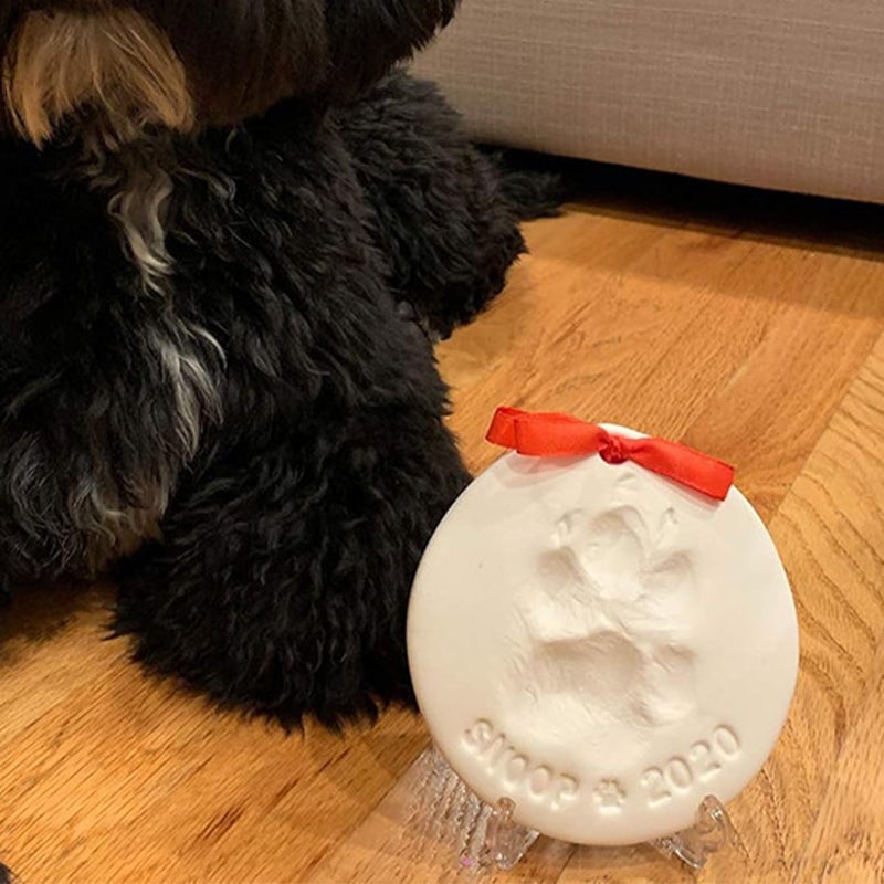 Clay Pet Paw Impression Molding Kit