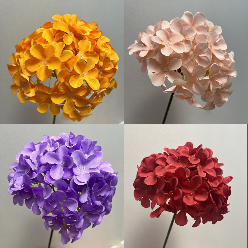 Everlasting Flower Hydrangea