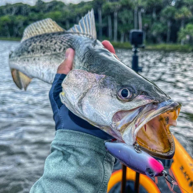 Topwater Co SnabbklÀmmor