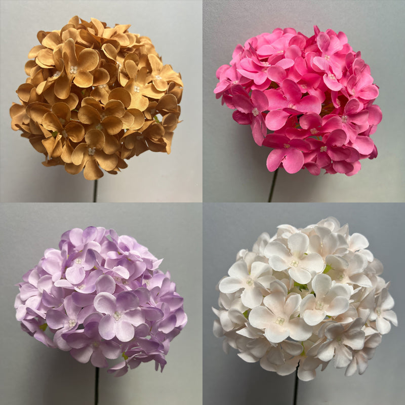 Everlasting Flower Hydrangea