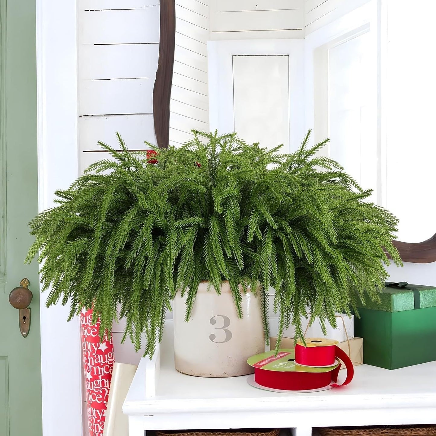 đBeautiful Christmas Special 49% đNorfolk Pine Branch