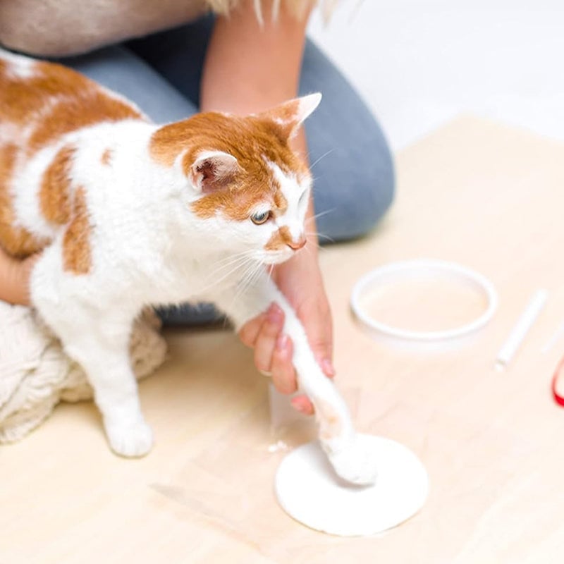 Clay Pet Paw Impression Molding Kit