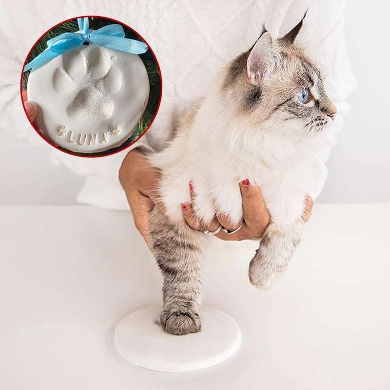 Clay Pet Paw Impression Molding Kit