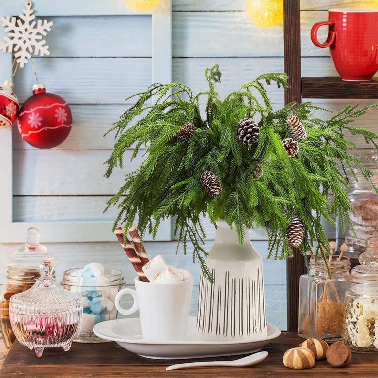 đBeautiful Christmas Special 49% đNorfolk Pine Branch