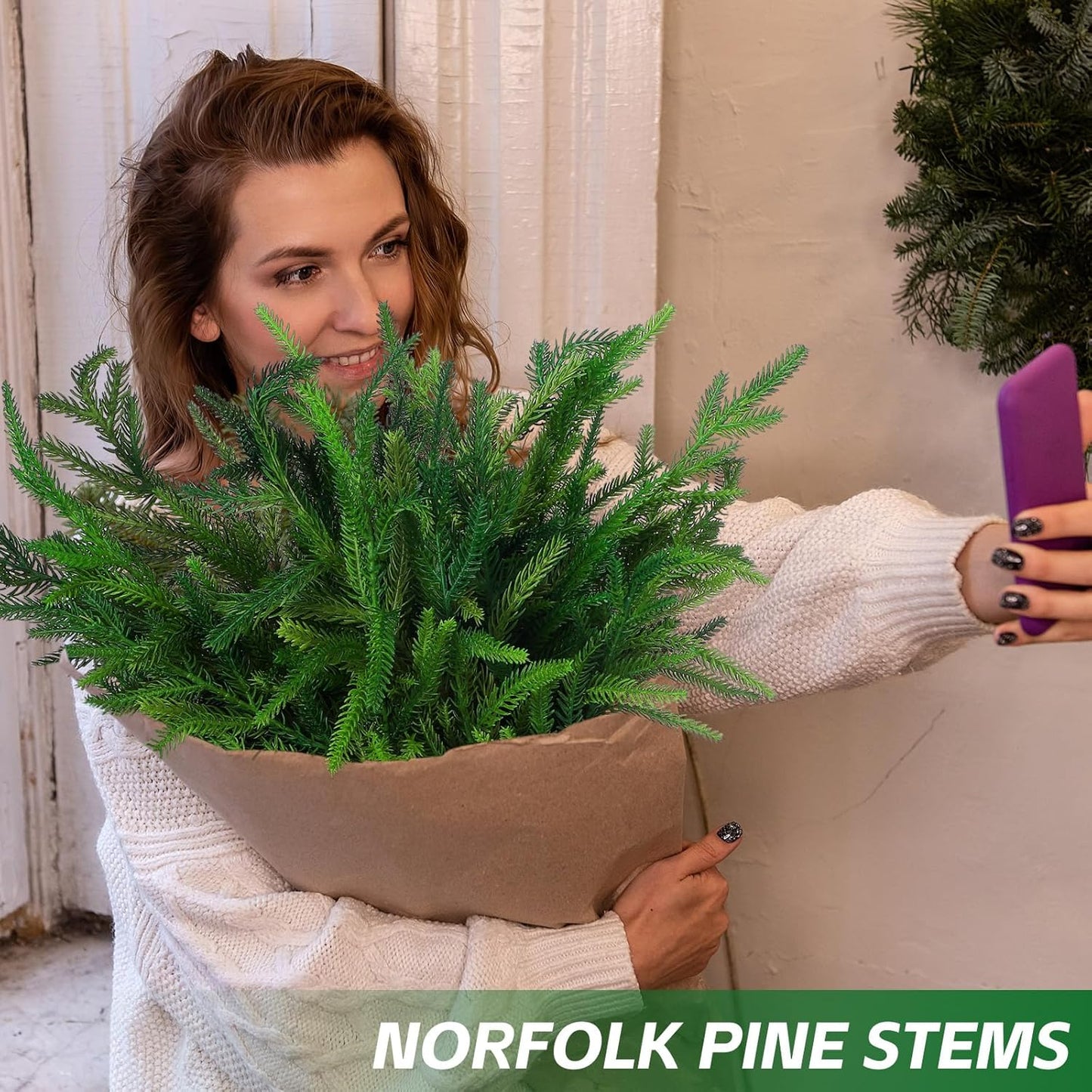 đBeautiful Christmas Special 49% đNorfolk Pine Branch
