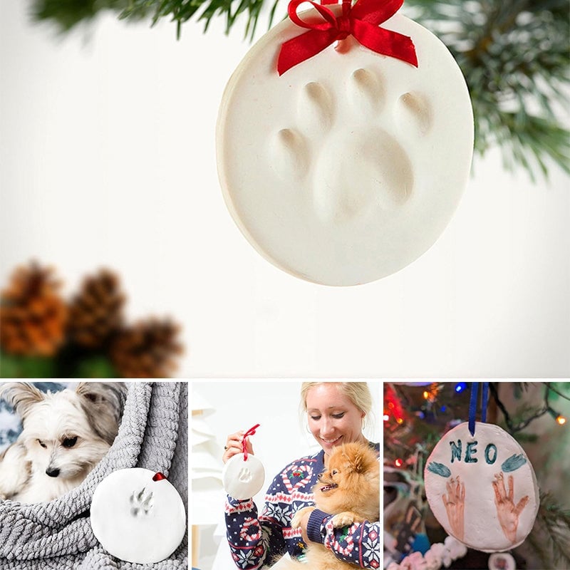 Clay Pet Paw Impression Molding Kit