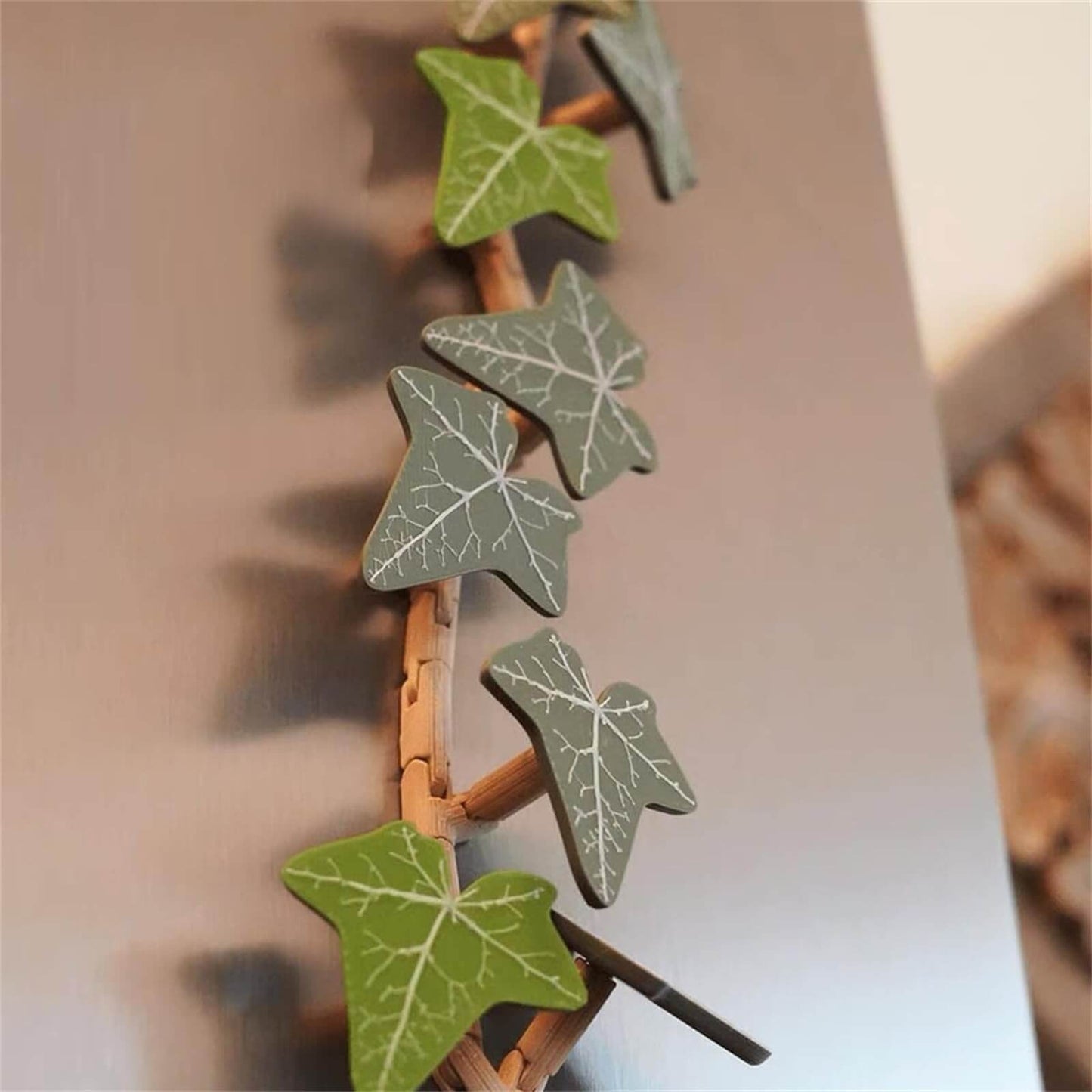 Murgröna Kylskåpsmagneter