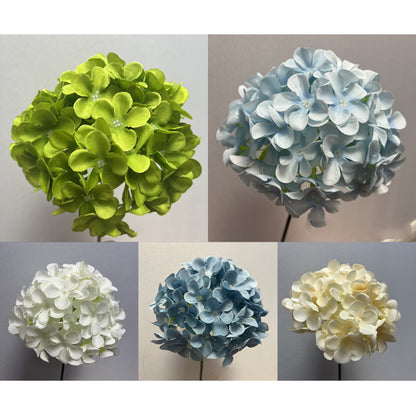 Everlasting Flower Hydrangea