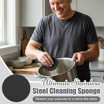 Ultimate Stainless Steel Cleaning Sponge