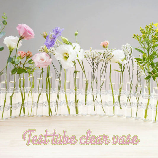 Ins Test Tube Transparent Glas Vas