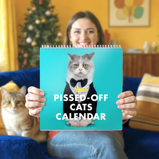 🐾2026 Kalender med förbannade katter