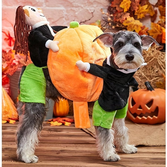Hund & katt pumpa Halloween kostym