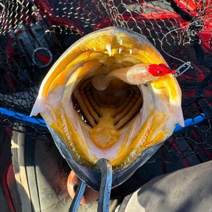 Topwater Co Snabbklämmor