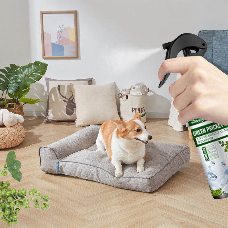 🎉Sommarerbjudande 50 % rabatt🎉Kraftfull spray för att ta bort kvalster – djuprengörande, skyddar hälsan
