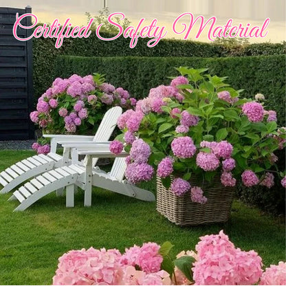 Everlasting Flower Hydrangea