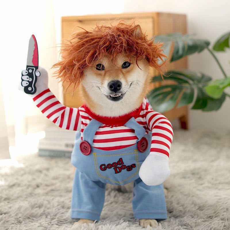 Halloween Husdjur Hund Cowboy Ryttare Dräkt