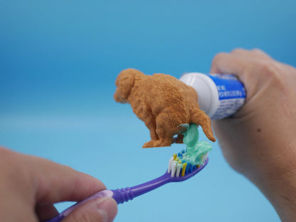 Rolig Tandkrämsdispenser