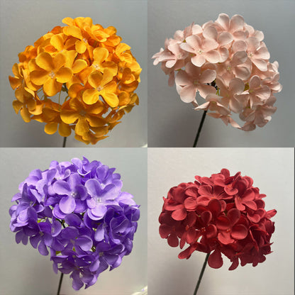 Everlasting Flower Hydrangea