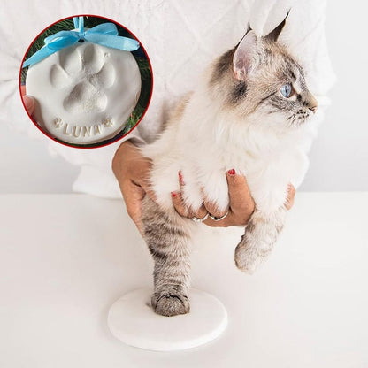 Clay Pet Paw Impression Molding Kit