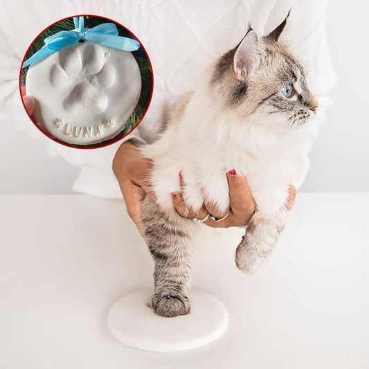 Clay Pet Paw Impression Molding Kit