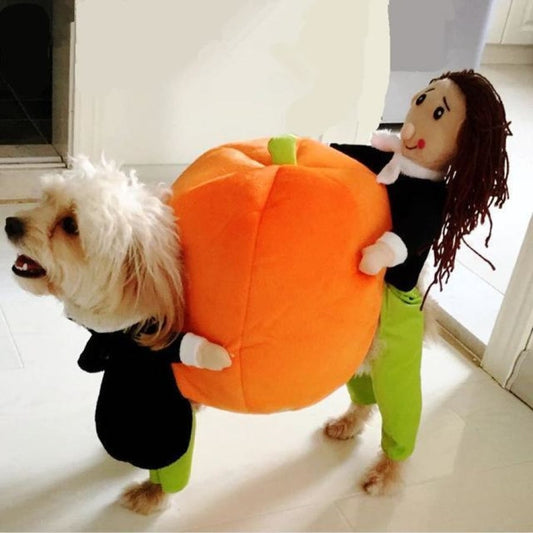 Hund & katt pumpa Halloween kostym